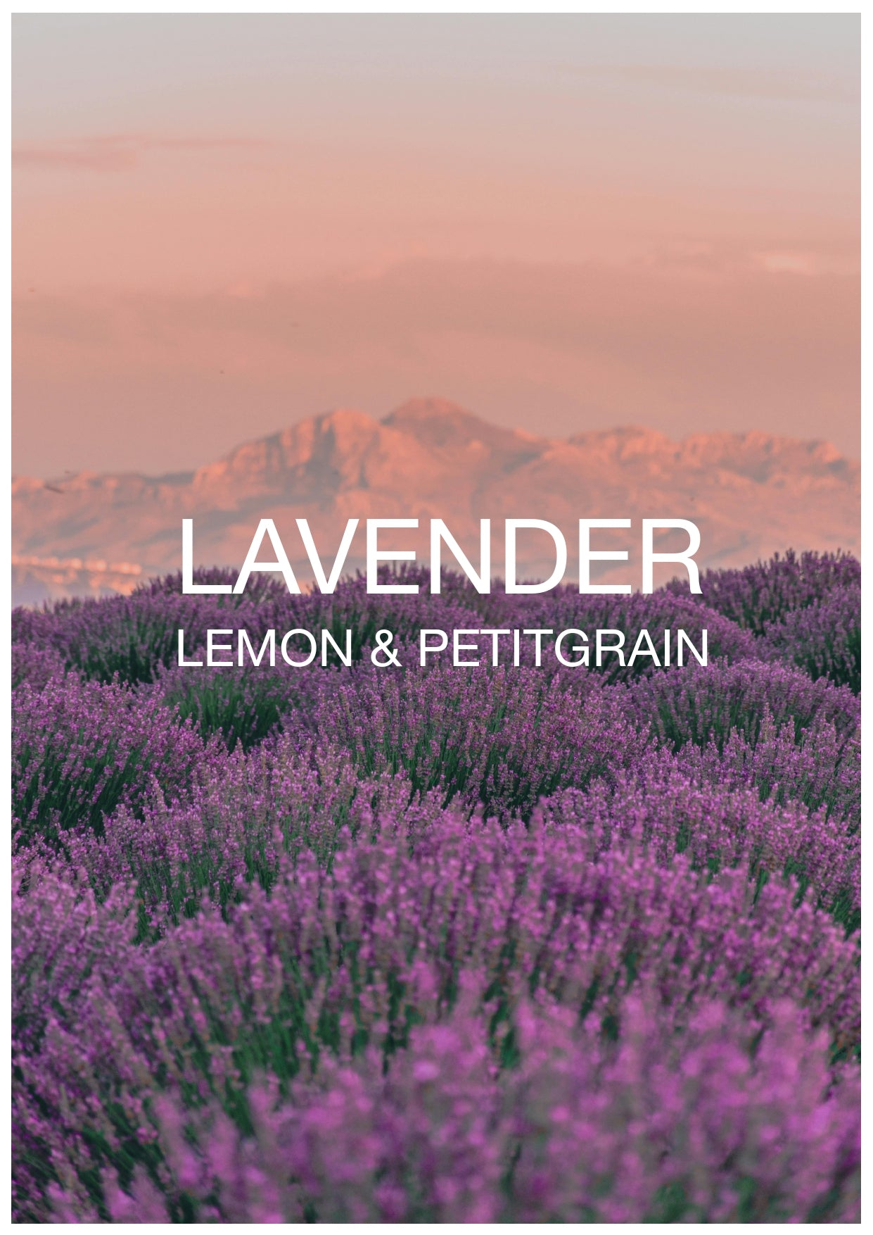 LAVENDER, LEMON & PETITGRAIN