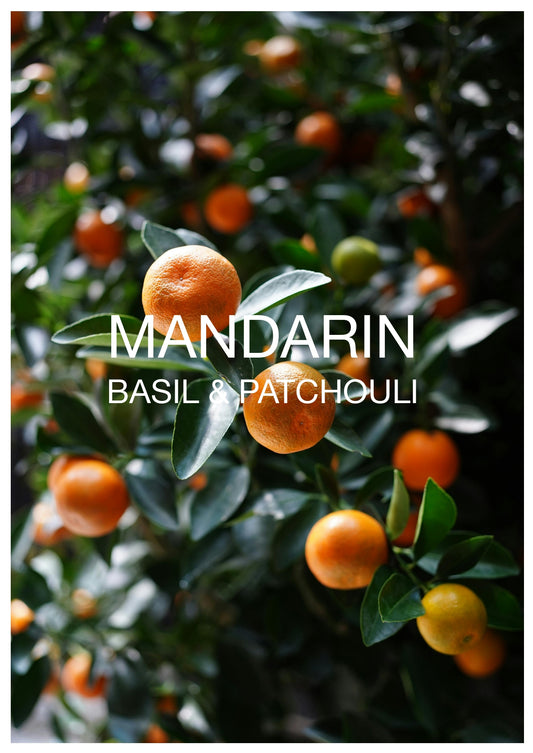 MANDARIN, BASIL & PATCHOULI