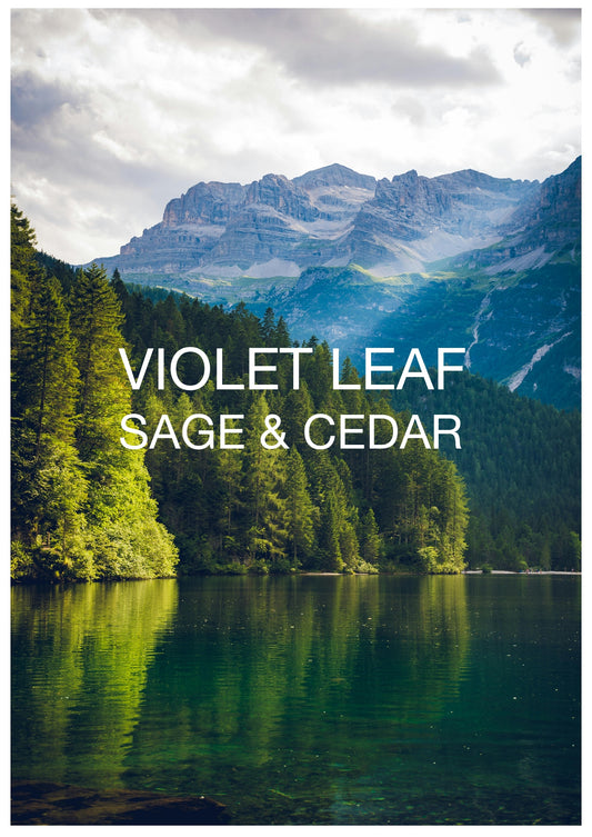 VIOLET LEAF, SAGE & CEDAR
