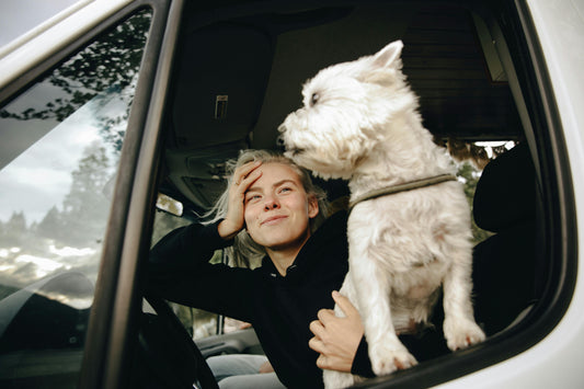 Female and her dog in a campervan